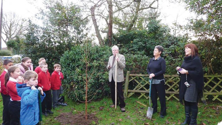 Kent Men of the Trees planting in Kent