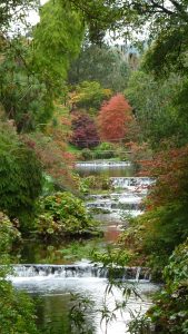 A tranquil scene at Mount Usher